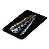 円錐シェル2 マグネット (左側)