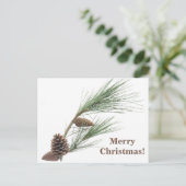 円錐形の松の枝 ポストカード (スタンド正面)