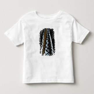 円錐形の貝2 トドラーTシャツ