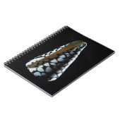 円錐形の貝2 ノートブック (左側)