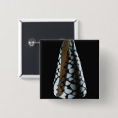 円錐形の貝2 缶バッジ (正面&裏面)