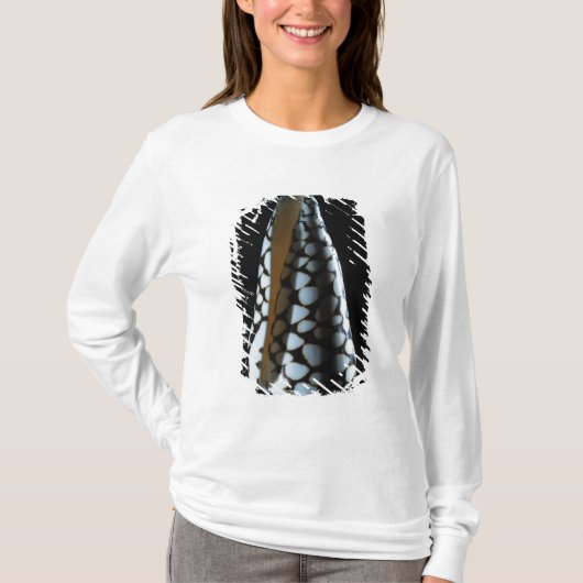 円錐形の貝2 Tシャツ (正面)