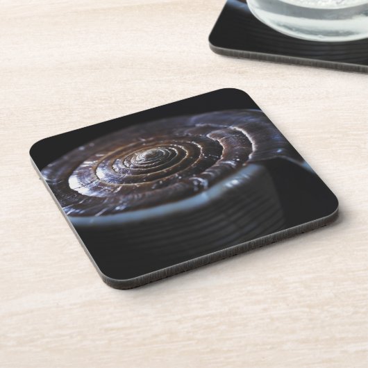 円錐形の貝 コースター (左側)