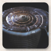 円錐形の貝 コースター (正面)