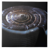 円錐形の貝 タイル (正面)