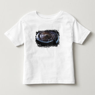 円錐形の貝 トドラーTシャツ