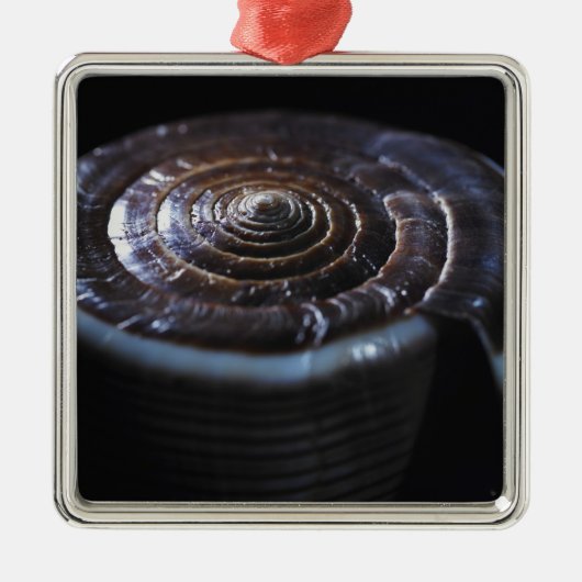 円錐形の貝 メタルオーナメント (正面)