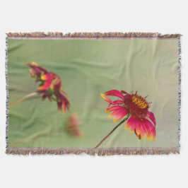 円錐花が開花開始 スローブランケット