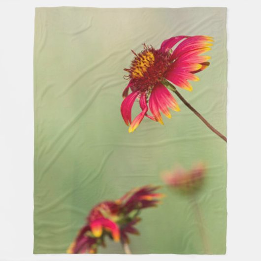 円錐花が開花開始 フリースブランケット (正面)