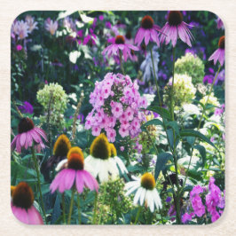 円錐花のピンクのガーデンフロックスの風景 スクエアペーパーコースター
