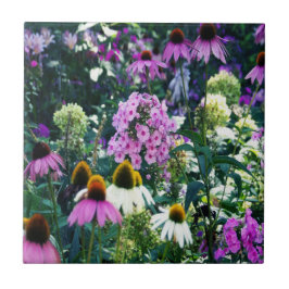 円錐花のピンクのガーデンフロックスの風景 タイル