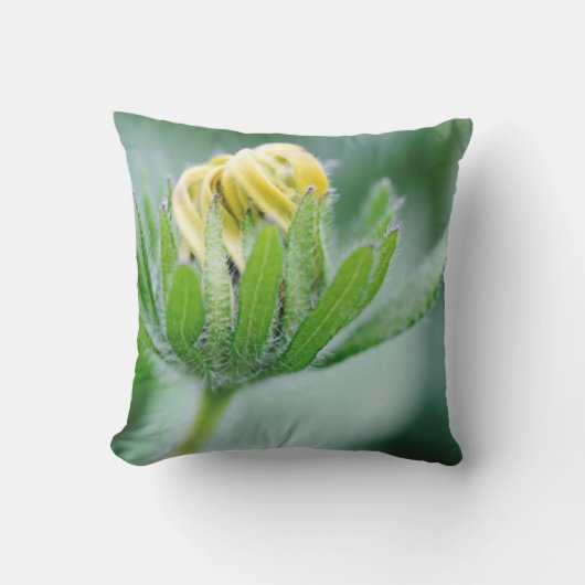 円錐花の開花 クッション (正面)