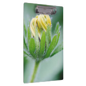 円錐花の開花 クリップボード (右)