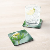 円錐花の開花 コースター (右側)