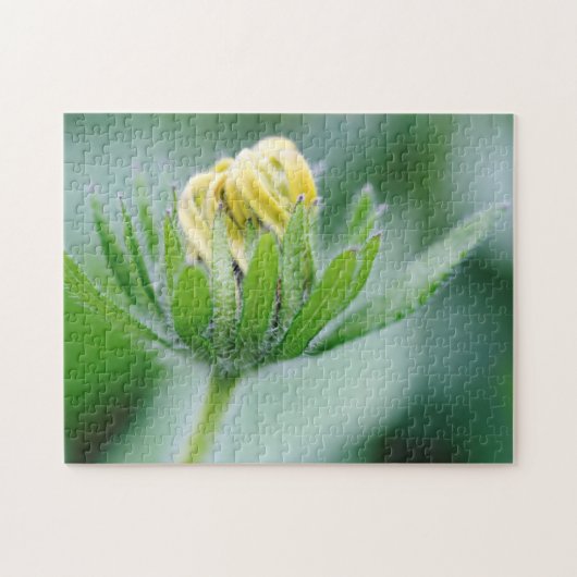 円錐花の開花 ジグソーパズル (横)