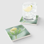 円錐花の開花 ストーンコースター (横)