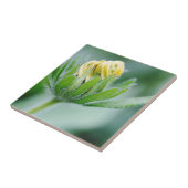 円錐花の開花 タイル (側面)