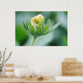 円錐花の開花 ポスター (キッチン)