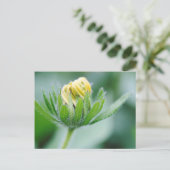 円錐花の開花 ポストカード (スタンド正面)