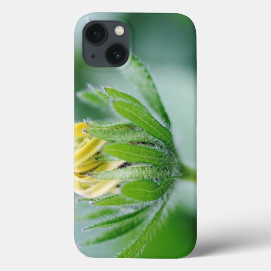 円錐花の開花 Case-Mate iPhoneケース (裏面)