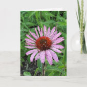 円錐花の雨粒 カード (正面)