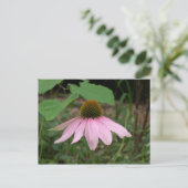 円錐花 ポストカード (スタンド正面)