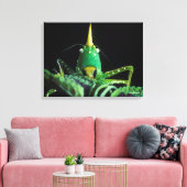 円錐頭のキリギリス キャンバスプリント (インサイチュ (リビング))