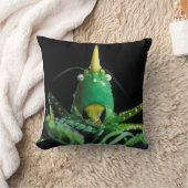 円錐頭のキリギリス クッション (ブランケット)