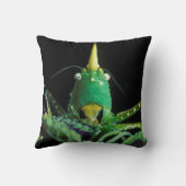 円錐頭のキリギリス クッション (裏面)