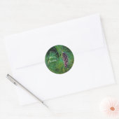 円錐(PIne) ラウンドシール (封筒)