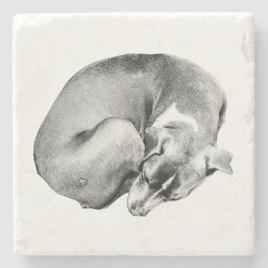 円（イーズ） ストーンコースター (正面)