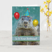 再おもしろいびグラウンドホッグの日のハッピーバースデー カード (黄色い花)