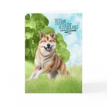 再おもしろいバークアブル秋田犬おめでとう