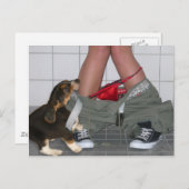 再びズボンを下にキャッチかわいい子犬 ポストカード (正面/裏面)