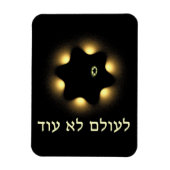 再びダビデのフラクタル星ではない マグネット (縦)