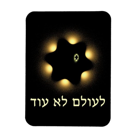 再びダビデのフラクタル星ではない マグネット (縦)