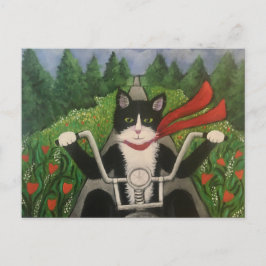 再びワイルドボーイライド ポストカード