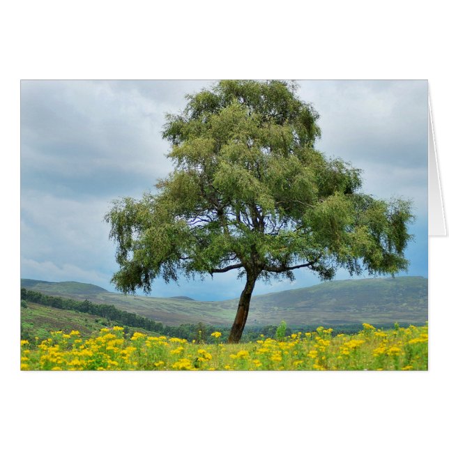 再び一人で (正面横)