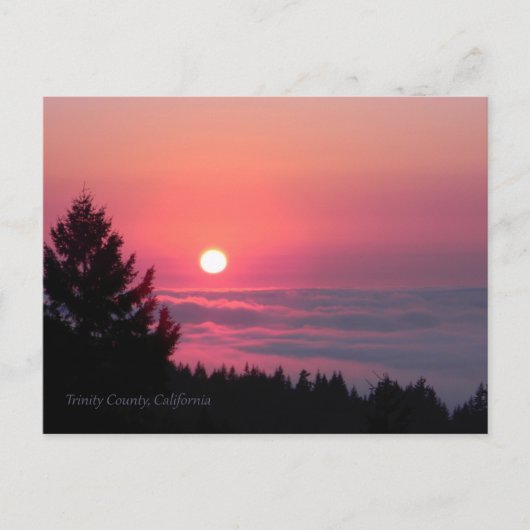 再び平和に….ポストカード ポストカード (正面)