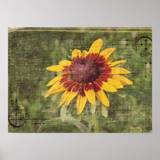 再び花 ポスター (正面)