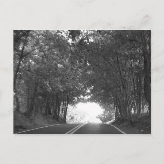 再び道路上で ポストカード