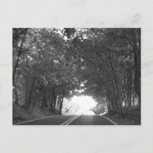 再び道路上で ポストカード (正面)