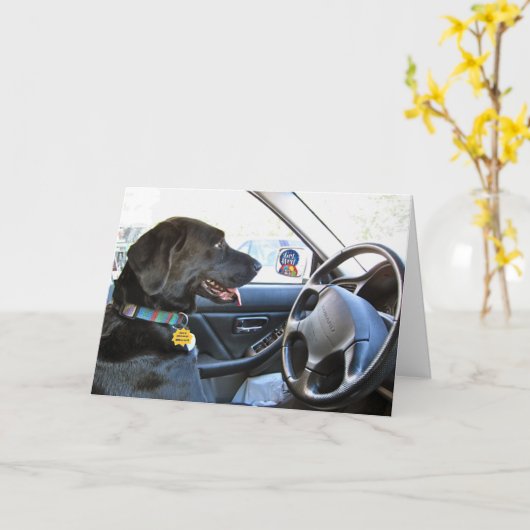 再び道路上 カード (黄色い花)