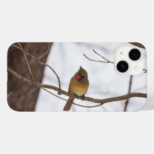 再び雪が言うミセス・（鳥）ショウジョウコウカンチョウのiPhoneケース Case-Mate iPhone 14ケース