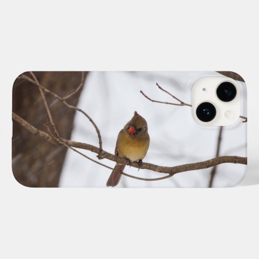 再び雪が言うミセス・(鳥)ショウジョウコウカンチョウのiPhoneケース Case-Mate iPhoneケース (裏面 (横))