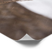 再び雪が降るとミセス・（鳥）ショウジョウコウカンチョウ ポスター (角)