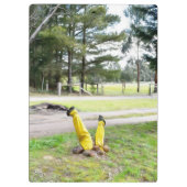 再失ったび庭で クリップボード (裏面)