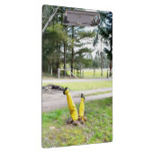 再失ったび庭で クリップボード (右)