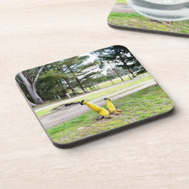 再失ったび庭で コースター