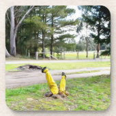 再失ったび庭で コースター (正面)